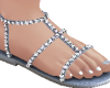Shine Shoes