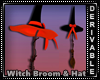Witch Broom and Hat