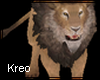 K-Lion Pet