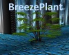 [BD]BreezePlant