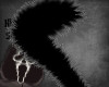 ʜ samy, the cattail.
