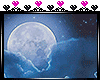 [Night] Moonlight