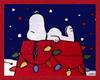 Snoopy Christmas Blanky