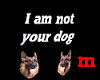 i am not your dog m
