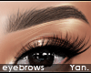 Y: HD brows | powder