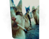 Max and the gang