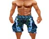 Waterfall Shorts