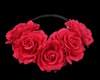 Red rose headband