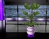 soft purple planter2