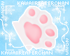 K| Kitty Paws Sakura