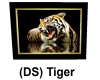 (DS) tiger