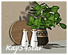 Kitchen Plant Decoration