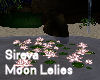 Sireva Moon Water Lelies