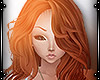 [iD] GinG. Rosslyn