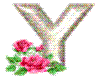 Y WITH ROSES AND GLITTER