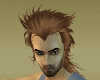 Wolverine Bark