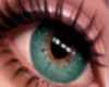 EVD Emerald Eyes
