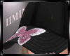 Black Cap