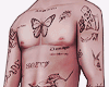 🛒 Butterfly Body