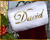 I~Stocking*David