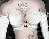 Top Butterflies¹