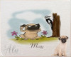 May Pug Calendar