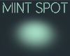 MINT  LIGHT SPOT