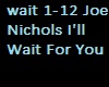 Joe Nichols Wait for You