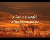 love so beautiful-lyric