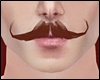 Mustach Ginger MH