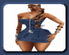 Indigo Drop-Waist Dress