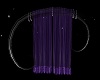 purple cortina