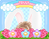 ・ﾟ✧ Big Bunny Ears
