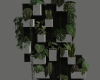 Modern Wall Plants