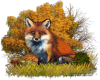 ~SSQ~ Fall Fox