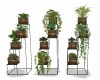 PLANT  STANDS
