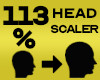 Head Scaler 113%