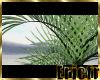 [Efr] Desert Plant 2