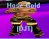 Hose Gold (DJT)