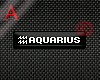 Aquarius Zodiac tag