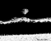 Air Balloon BW Picture
