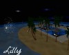 [LWR]Party Beach Night