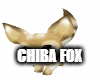 Chiba Fox Friendly