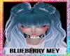 Blueberry Mey