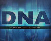DNA v3 (3 floor)
