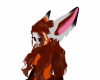 H! Red Panda Ears v2