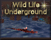 [my]Demons Underground