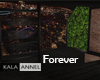 !A Loft forever