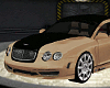 Bentley Executive GT