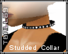 {T}Studded Collar
